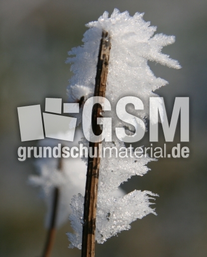 Winterimpressionen 030.jpg